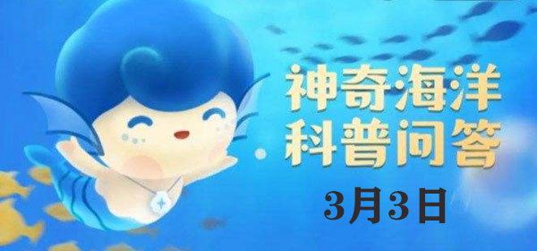 喜欢吸附在鲨鱼、海龟等大型海洋生物上,有着免费旅行家之称的是