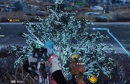 星球重启拉贡雪山采麻位置