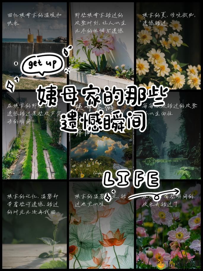 在姨母家的客厅中字免费不花钱,网友:这才是真正的剧迷福利!