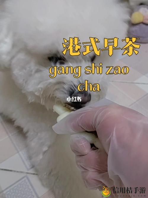 为什么“美国人与动物胶配方大全图片”成为手工艺爱好者的必备参考?