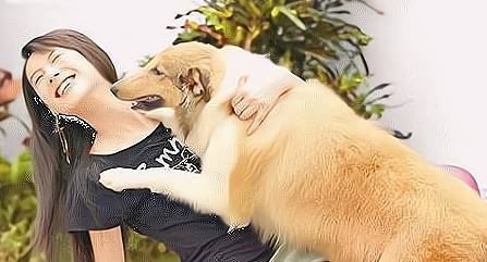 为什么“大狗锁住女人狗的视频大全”会让人感到惊讶与反思?