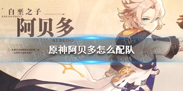 原神阿贝多怎么配队 原神阿贝多配队最新