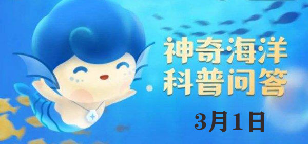 考考你:被称为“海洋中的小巨人”的是