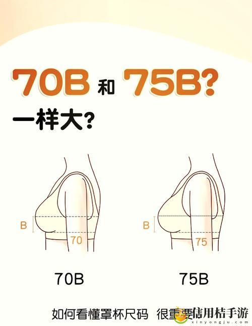 B大与小哪个好被曝光,用户:真相让我一头雾水!