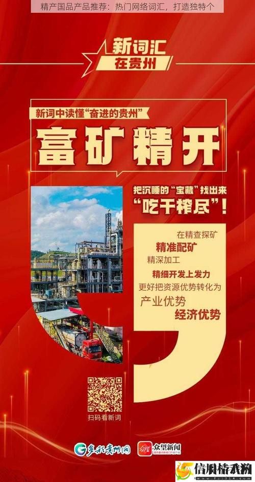 如何理解“精产国品一二三产区别手机”的深层含义与实际应用?