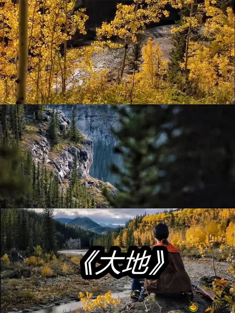 大地资源高清在线视频