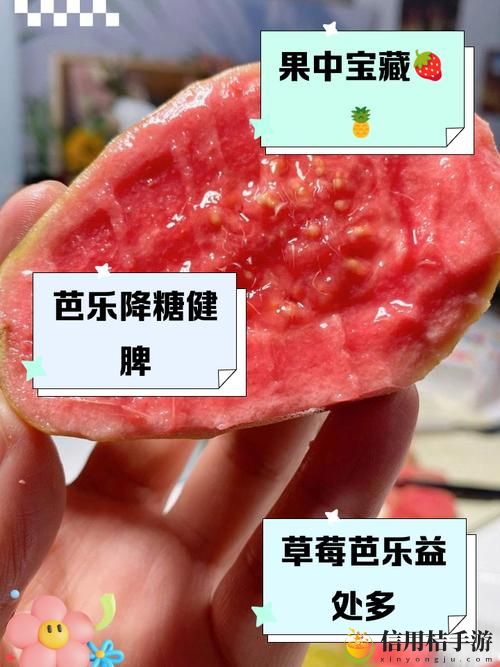 芭乐草莓樱桃丝瓜18岁大全