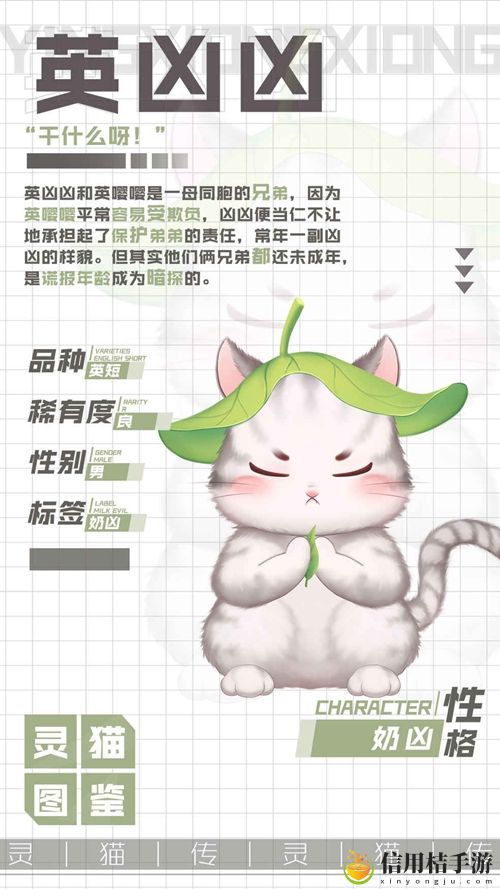 灵猫传双生兄弟奶凶喵英凶凶属性图鉴