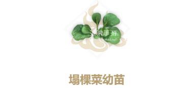 妄想山海塌棵菜幼苗配方介绍