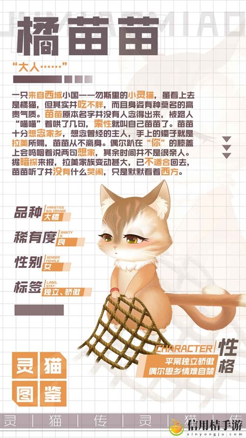 灵猫传优雅灵猫橘苗苗属性图鉴