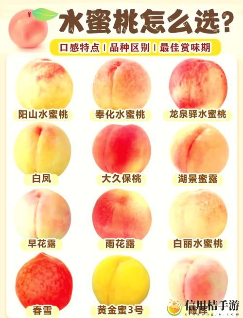 一区二区三区水蜜桃