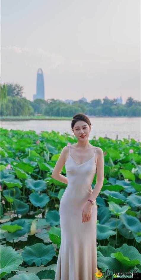 四川少妇BBBB槡BBBB槡:现代生活中女性的角色究竟是怎样的?