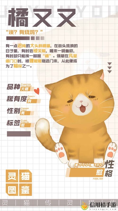 灵猫传可爱憨厚橘又又属性图鉴