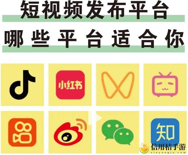 成品短视频APP网站,粉丝表示:这是我必备的生活神器!