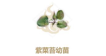 妄想山海紫菜苔幼苗配方介绍