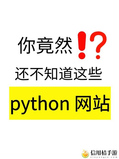 成品网站python,网友感叹:便捷与高效并存的网络解决方案