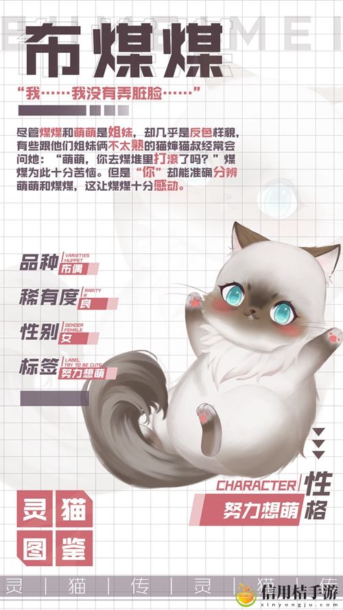 灵猫传双生子小黑布煤煤属性图鉴