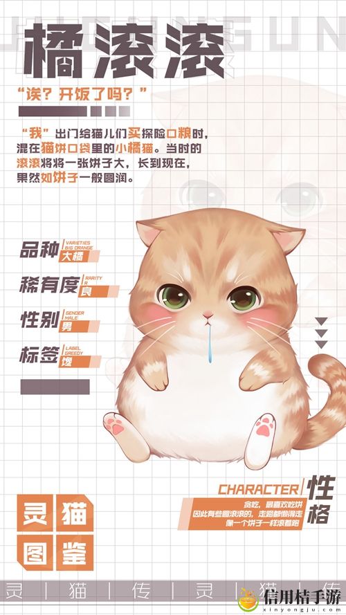 灵猫传吃货男孩橘滚滚属性图鉴