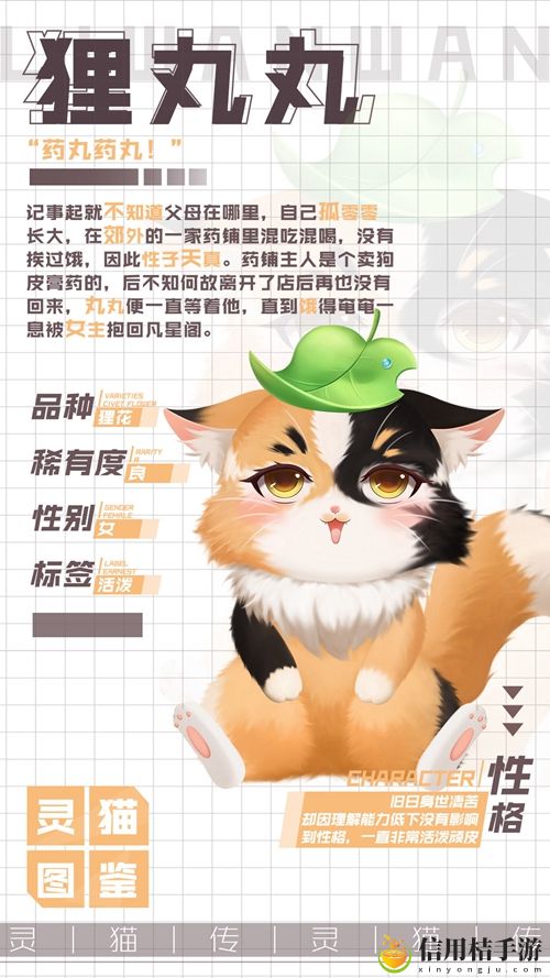 灵猫传狸丸丸属性图鉴