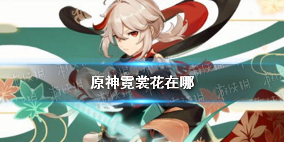 原神霓裳花在哪 霓裳花采集攻略