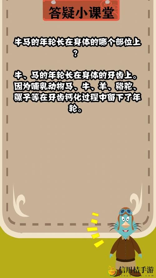 牛马的年轮长在什么地方?透视动物生命轨迹中的岁月印记与人类的联系