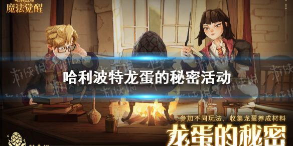 哈利波特龙蛋的秘密活动 龙蛋的秘密活动介绍