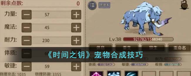 时间之钥宠物合成技巧 宠物怎么合成