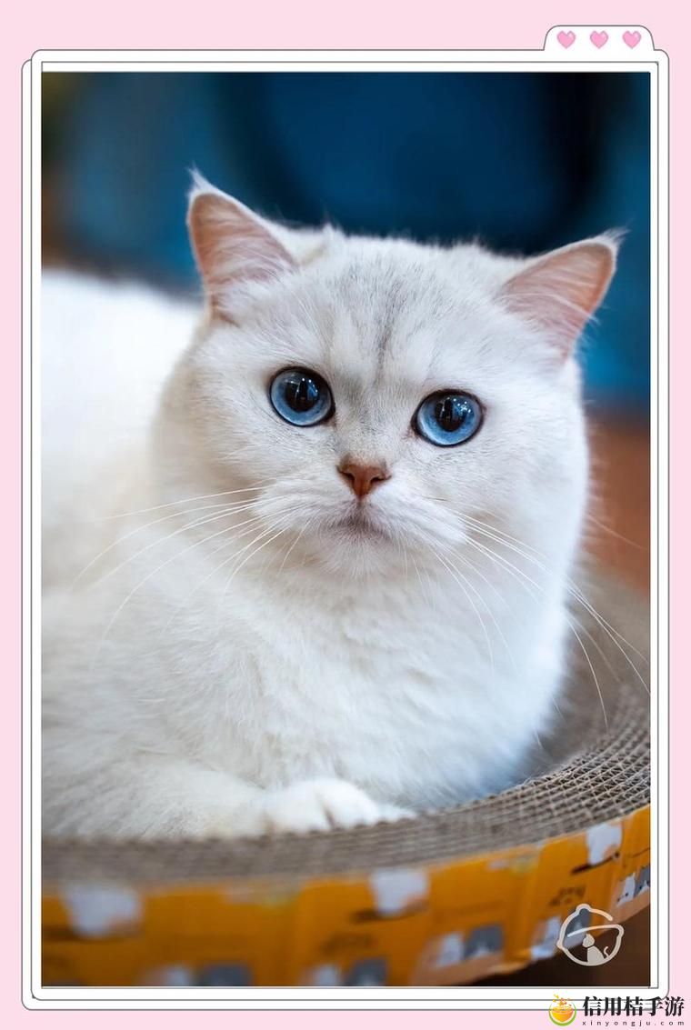 芭乐小猪草莓猫咪绿巨人引发热议,网友:这些角色太可爱了!