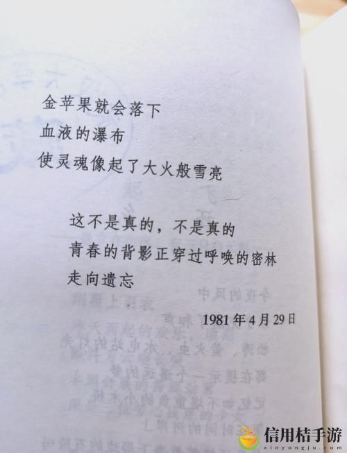 公交车舒婷诗集第:当城市的喧嚣与诗意交织,你是否也感受到那份宁静与思考?