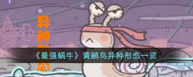 最强蜗牛黄鹂鸟异种形态图文详情一览