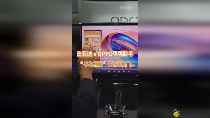 w17c起草视频