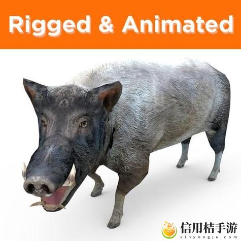 ZOOM与动物ZOOM大全美国:探索虚拟世界中的野生动物奇观