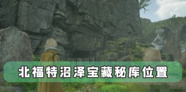 霍格沃茨之遗北福特沼泽宝藏秘库位置