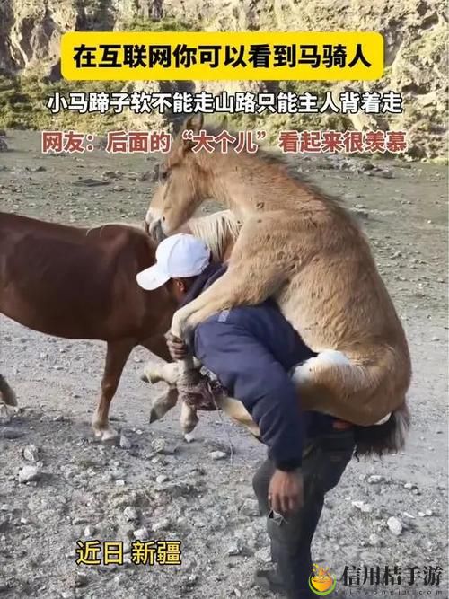 人野兽马狗猪免费不花钱,网友:真不敢相信!
