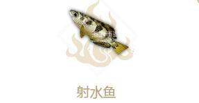 妄想山海射水鱼属性介绍