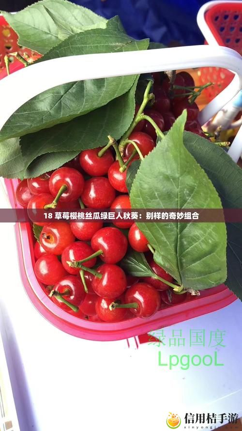 草莓樱桃丝瓜绿巨人秋葵大全:这个秋季如何挑选与搭配最美味的健康食材?