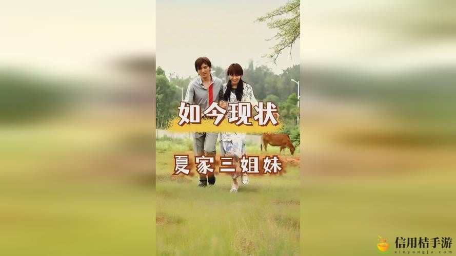 如何在“91国精产品㊙️天美一区”中找到适合自己的优质产品?