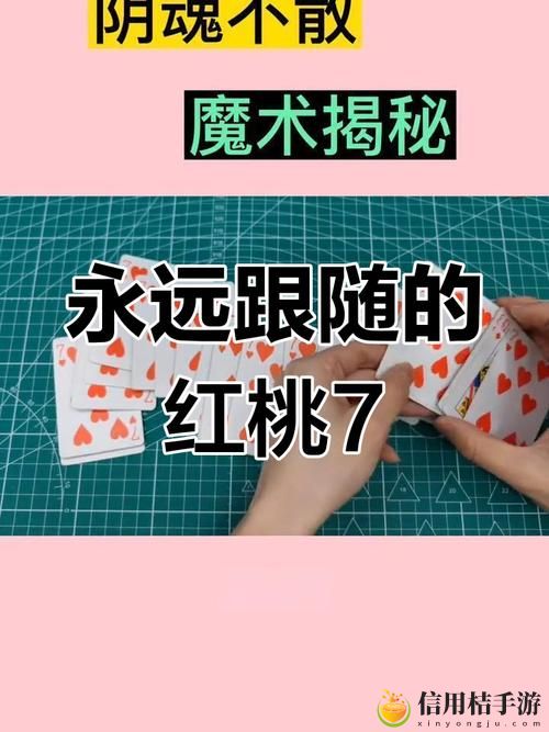 无人一区二区区别是什么红桃7,网友评价:欲望与体验的较量
