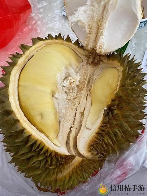 榴莲香蕉苹果哈密瓜水蜜桃,粉丝表示:味蕾的奇妙旅行