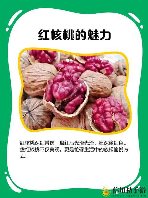 红桃免费版无限解锁版特色介绍,用户热议: