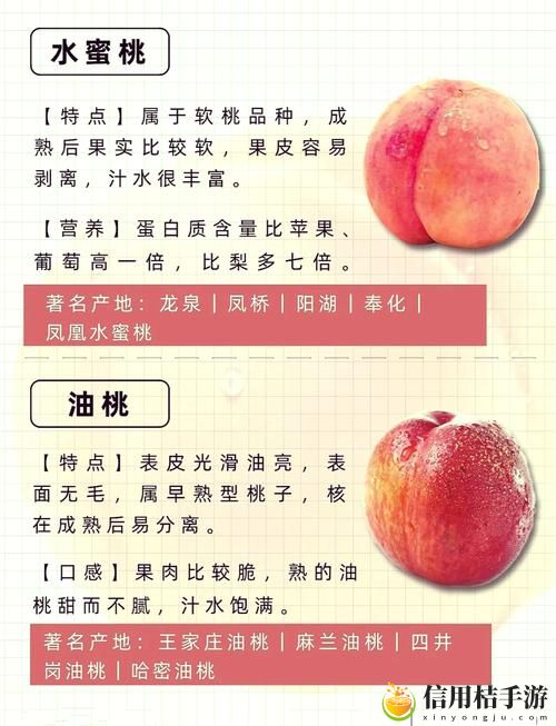 蜜桃国精产品二三四区市场分析:在新经济形势下,如何抓住市场机遇?