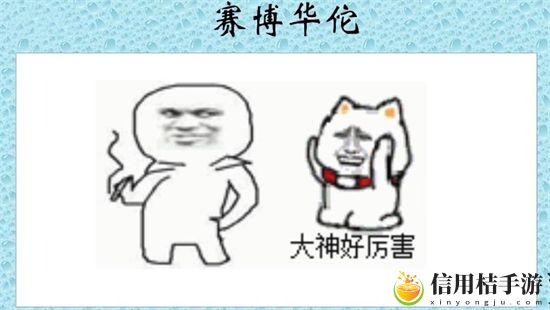 赛博华佗是什么意思