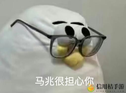 马兆海鸥是什么梗