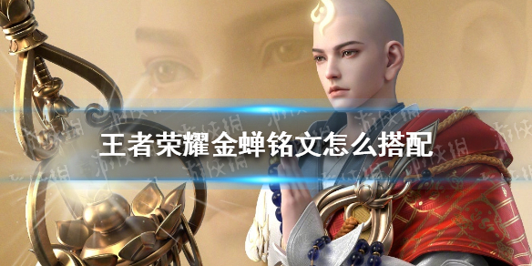 王者荣耀金蝉铭文怎么搭配 金蝉铭文搭配推荐
