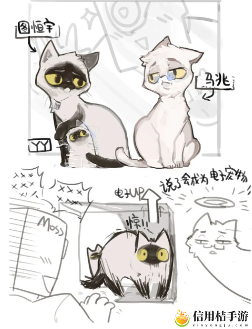 马兆海鸥是什么梗