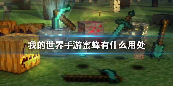 我的世界手游蜜蜂有什么用处 蜜蜂作用介绍