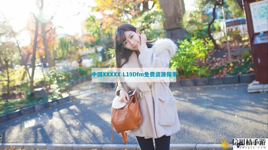 中国XXXXXL19Dfm免费资源:探索数字时代的机遇与挑战