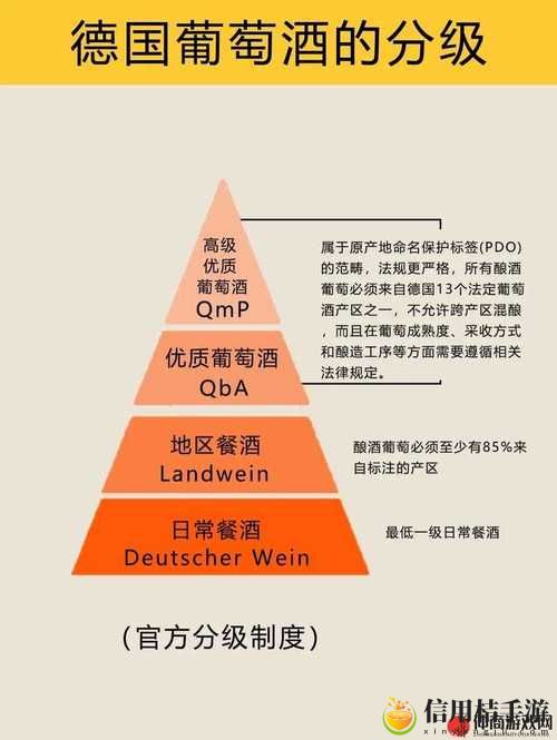 如何揭示“精产国品一二三产区99”背后的品质秘密和发展潜力?