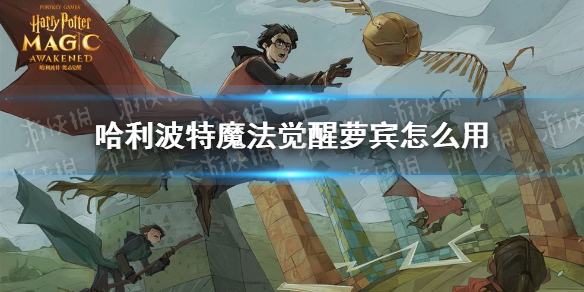 哈利波特魔法觉醒萝宾怎么用 伙伴卡萝宾使用攻略