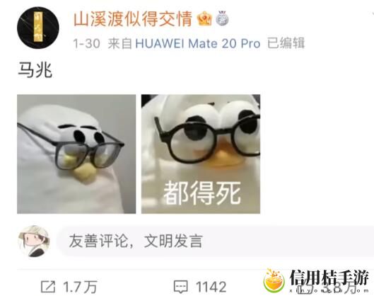 马兆海鸥是什么梗